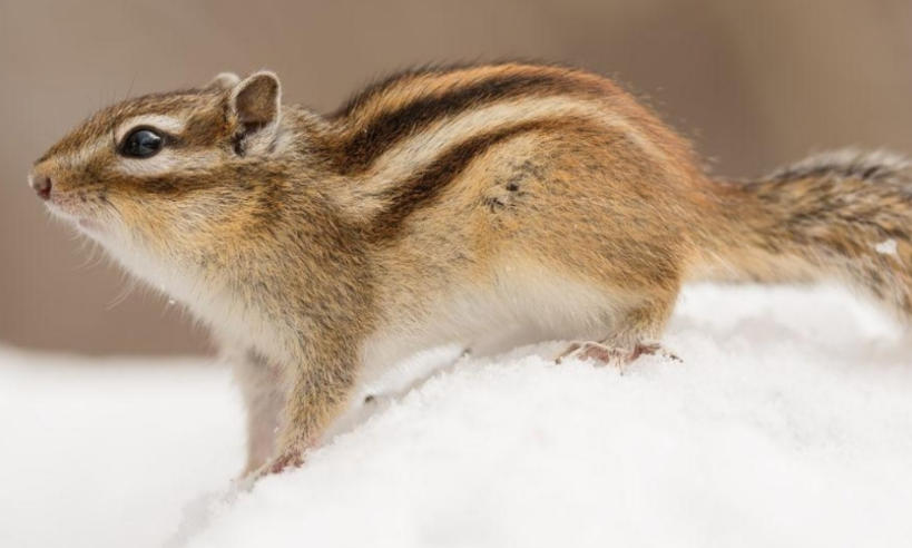 深圳零零柒壹壹安防科技公司轮播图5