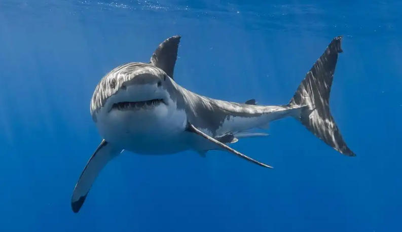 深圳零零柒壹壹安防科技公司轮播图3