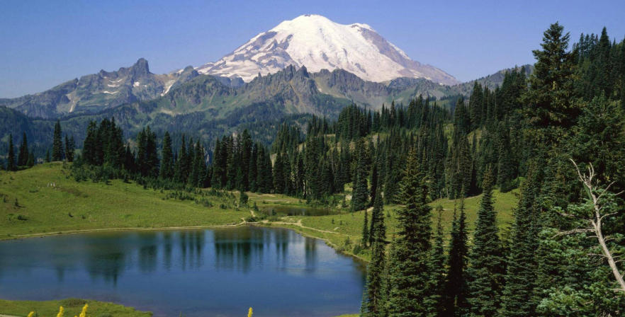 深圳零零柒壹壹安防科技公司轮播图5